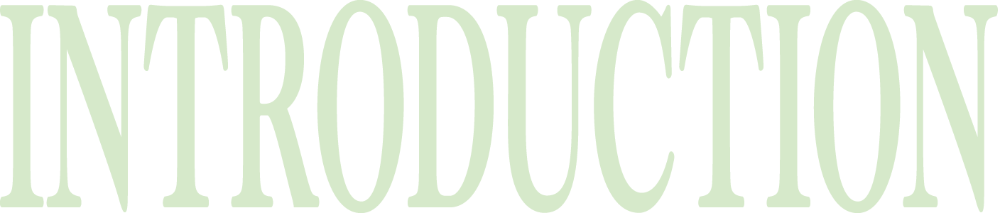 サブタイトル-イントロダクション