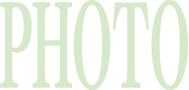 サブタイトル-フォトギャラリー